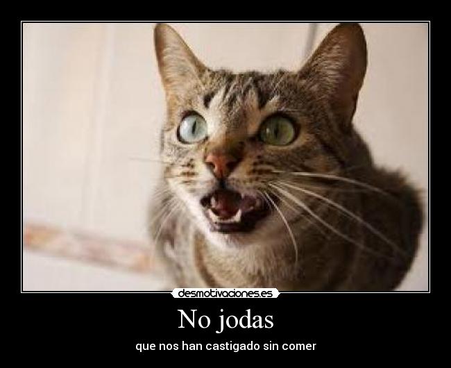 No jodas - 