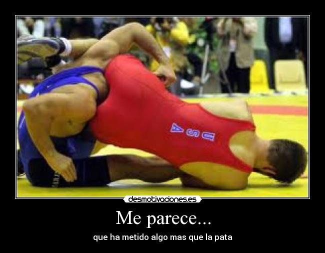 Me parece... - que ha metido algo mas que la pata