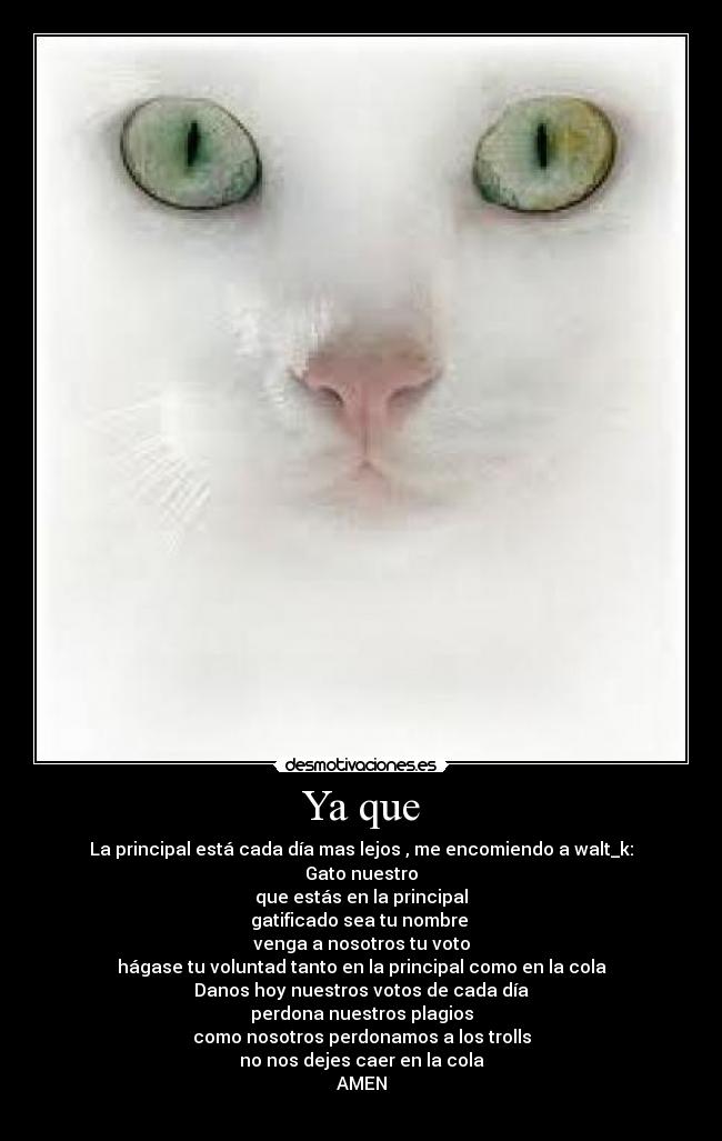 Ya que - La principal está cada día mas lejos , me encomiendo a walt_k:
Gato nuestro
que estás en la principal
gatificado sea tu nombre 
venga a nosotros tu voto
hágase tu voluntad tanto en la principal como en la cola
Danos hoy nuestros votos de cada día
perdona nuestros plagios
como nosotros perdonamos a los trolls
no nos dejes caer en la cola
AMEN
