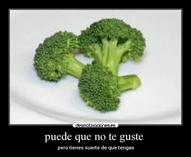 carteles djn desmotivaciones