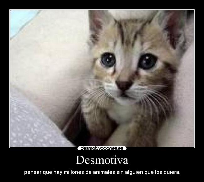 Desmotiva - 
