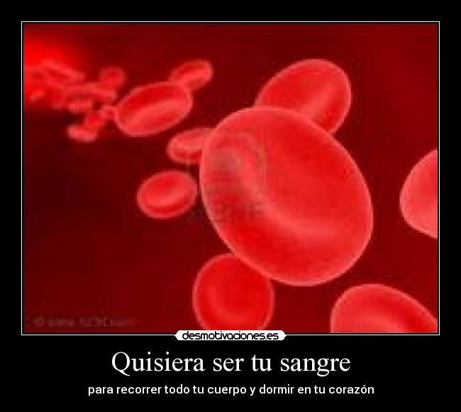 Quisiera ser tu sangre - para recorrer todo tu cuerpo y dormir en tu corazón