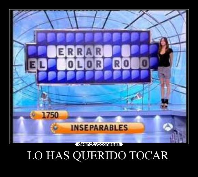 LO HAS QUERIDO TOCAR  - 