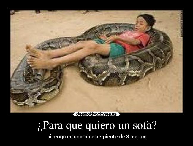 carteles bichos desmotivaciones