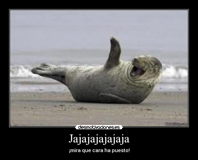 carteles focca desmotivaciones