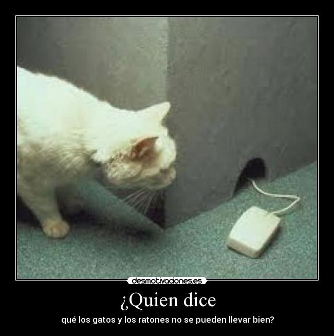 ¿Quien dice -
