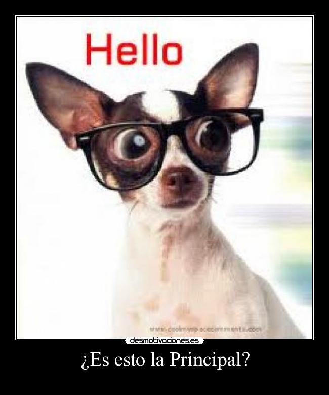 ¿Es esto la Principal? -
