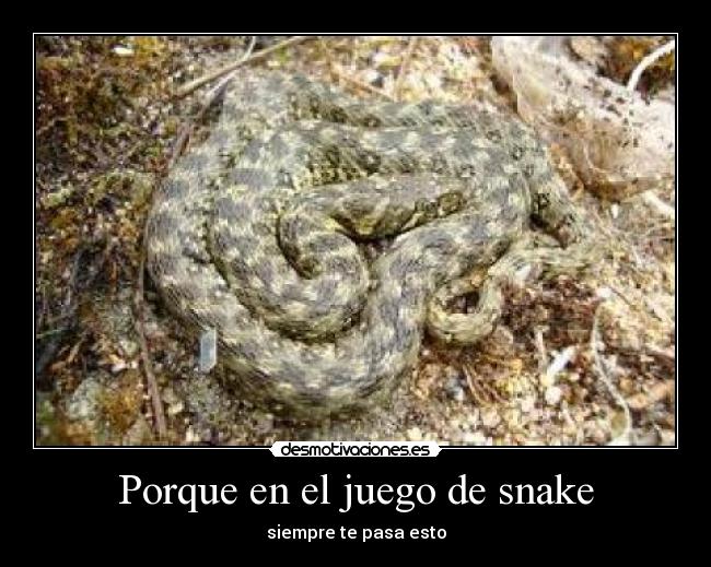 Porque en el juego de snake - 