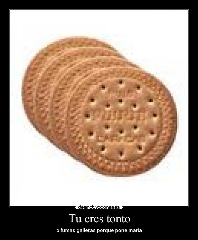 Tu eres tonto -