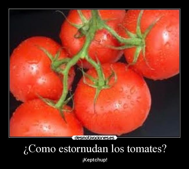 ¿Como estornudan los tomates? - ¡Keptchup!