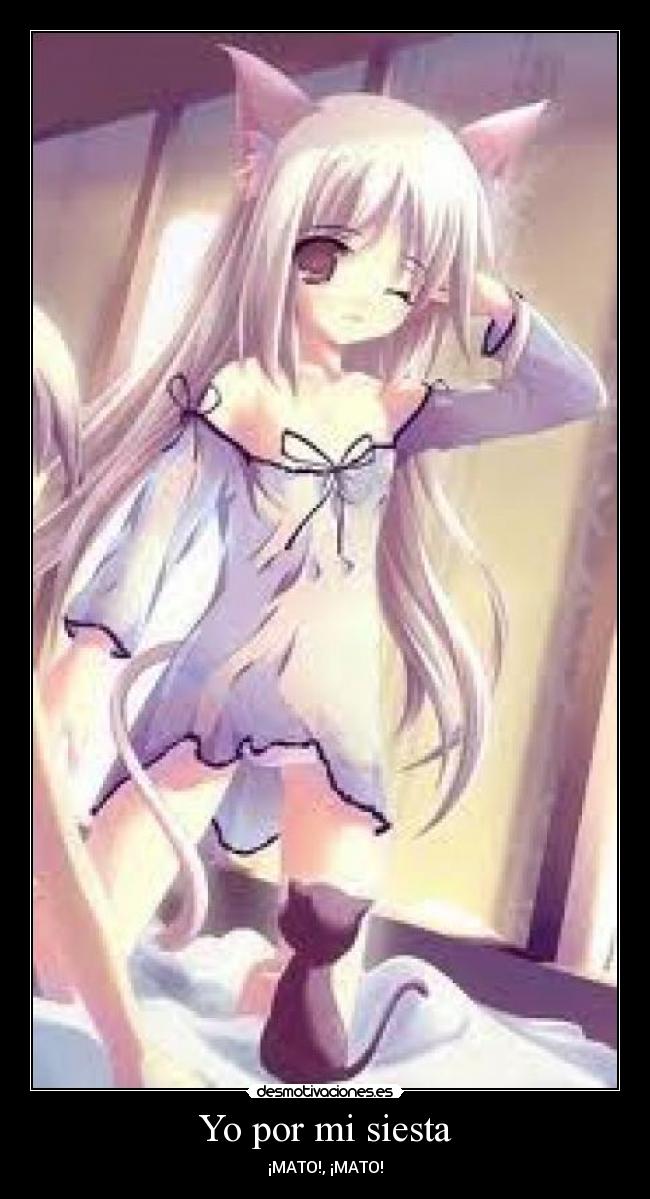 Yo por mi siesta - ¡MATO!, ¡MATO!