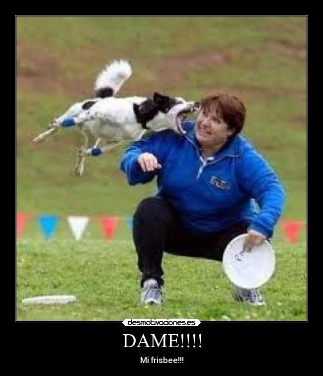 DAME!!!! - Mi frisbee!!!