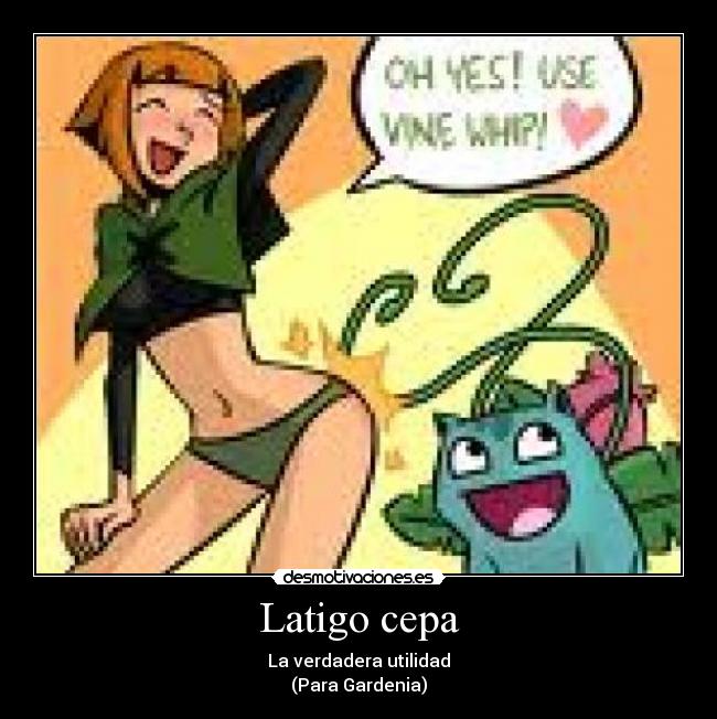 Latigo cepa - La verdadera utilidad
(Para Gardenia)