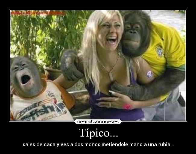 Típico... - sales de casa y ves a dos monos metiendole mano a una rubia...