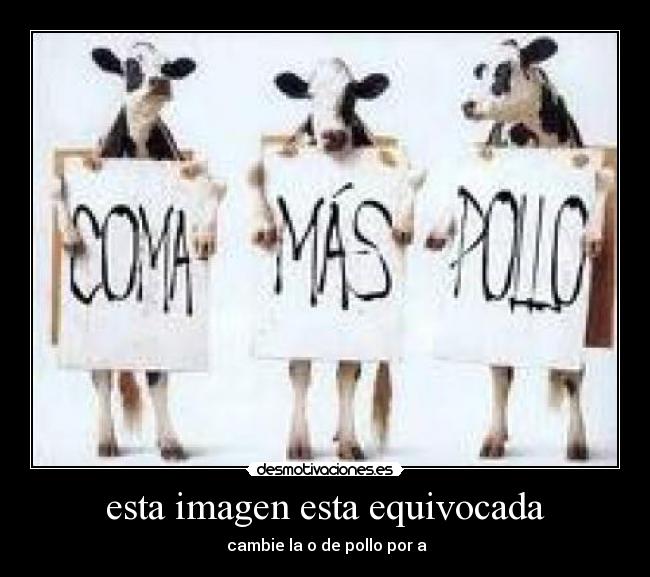 esta imagen esta equivocada - 