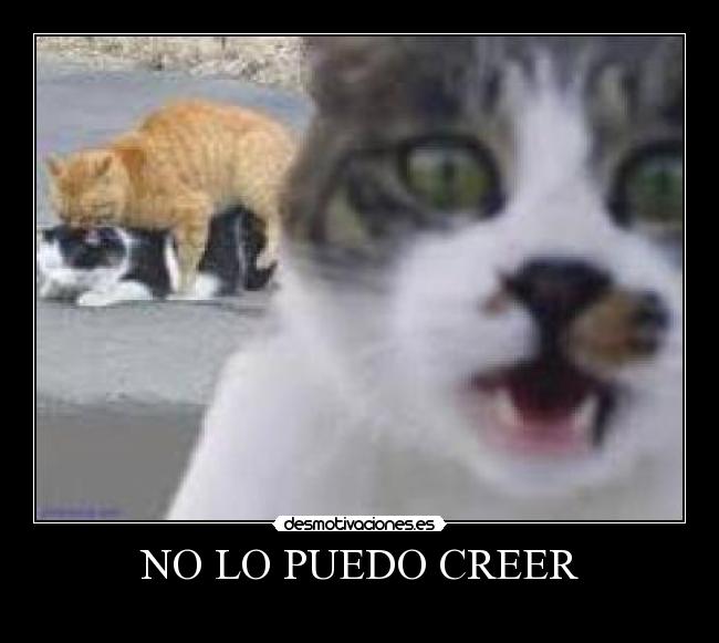 NO LO PUEDO CREER -