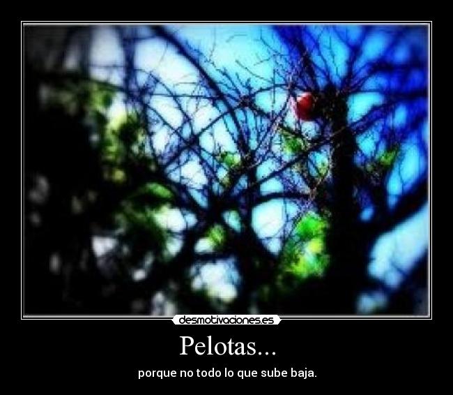 Pelotas... - 