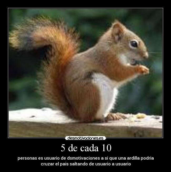 5 de cada 10 - personas es usuario de dsmotivaciones a si que una ardilla podria
cruzar el pais saltando de usuario a usuario