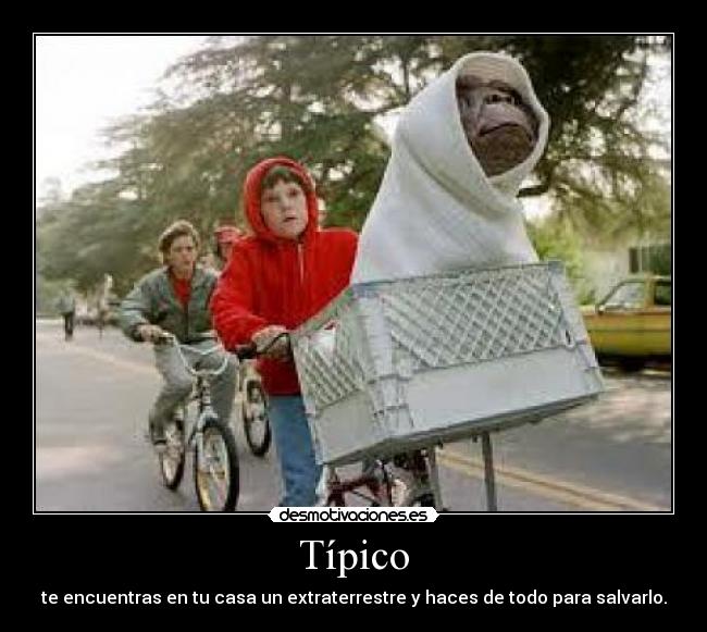 Típico - 