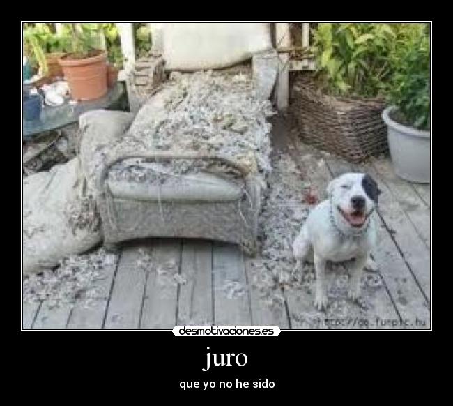 juro -