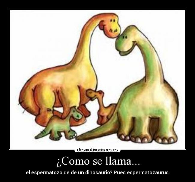 ¿Como se llama... -