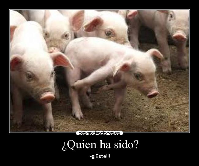 ¿Quien ha sido? -