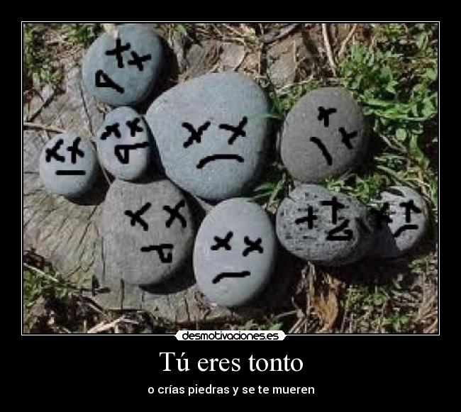 Tú eres tonto - 