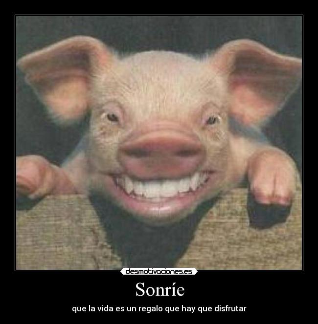 Sonríe - que la vida es un regalo que hay que disfrutar