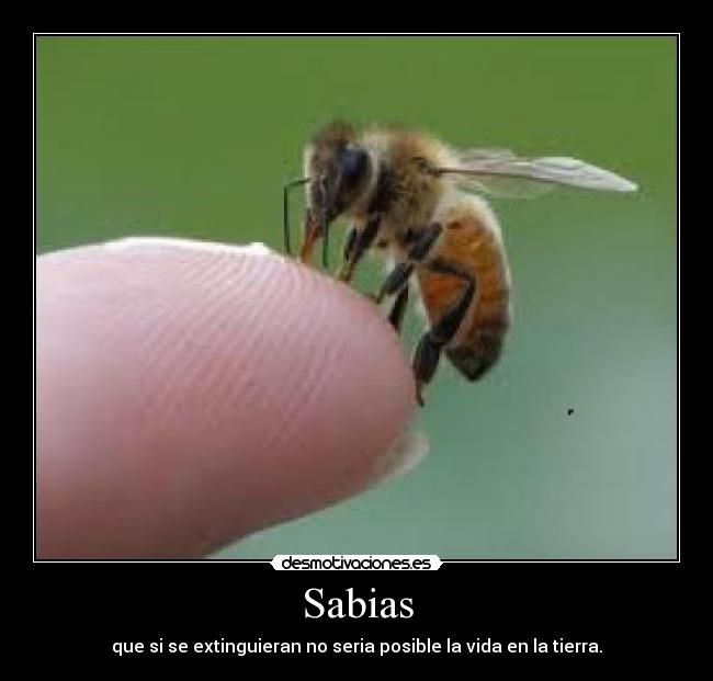 Sabias - que si se extinguieran no seria posible la vida en la tierra.