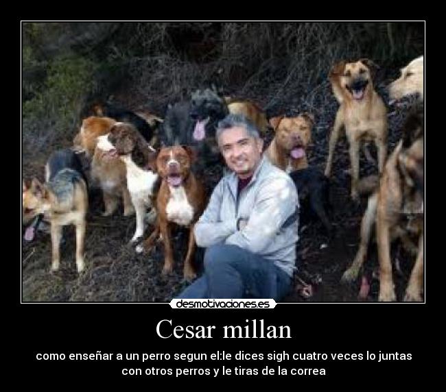 Cesar millan -