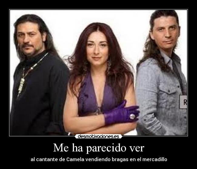 Me ha parecido ver -