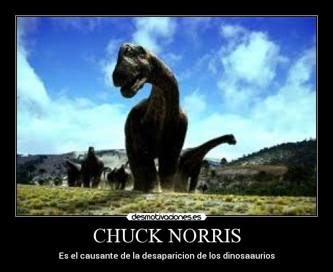 CHUCK NORRIS - 