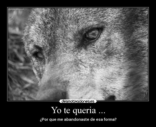 Yo te queria ... - ¿Por que me abandonaste de esa forma?