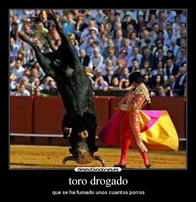 toro drogado - 