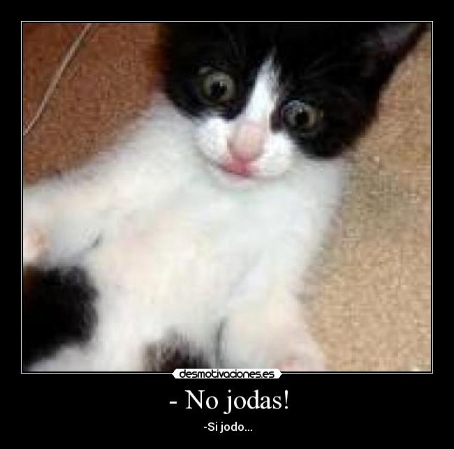 - No jodas! - 