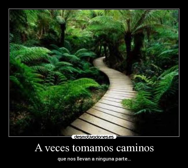 A veces tomamos caminos - que nos llevan a ninguna parte...