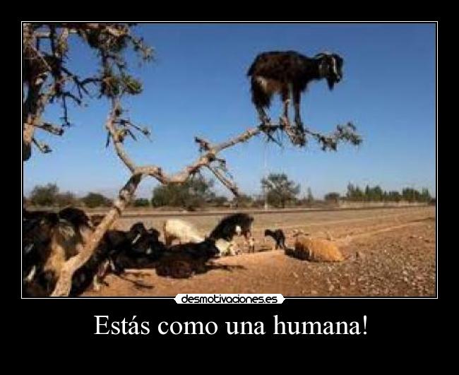Estás como una humana! -