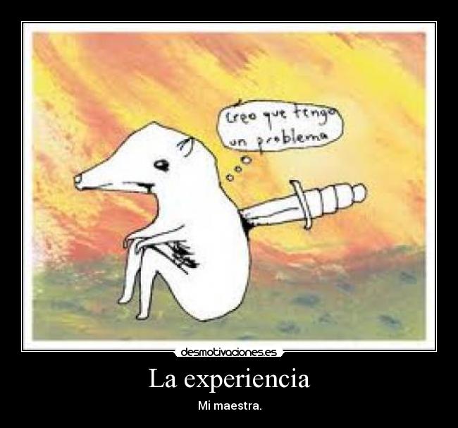 La experiencia -