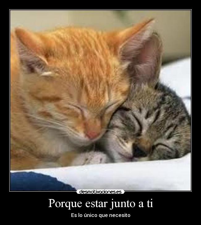 Porque estar junto a ti - Es lo único que necesito