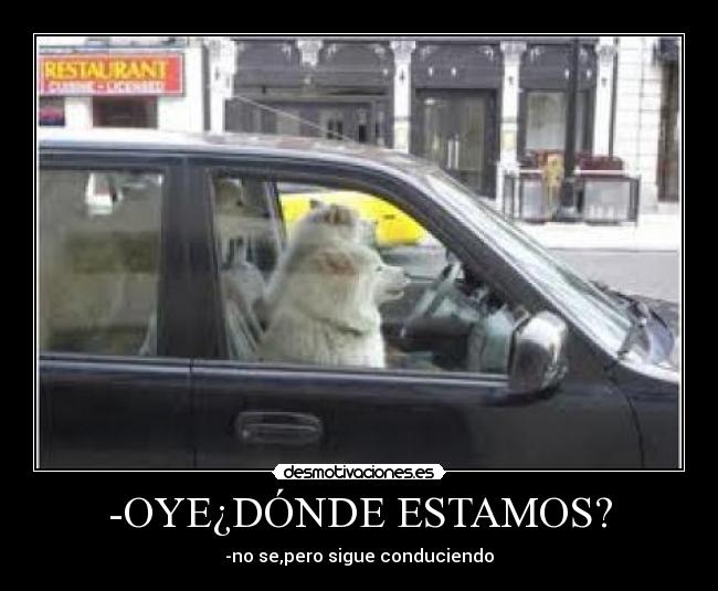 -OYE¿DÓNDE ESTAMOS? -