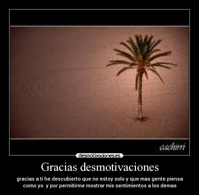 Gracias desmotivaciones - 
