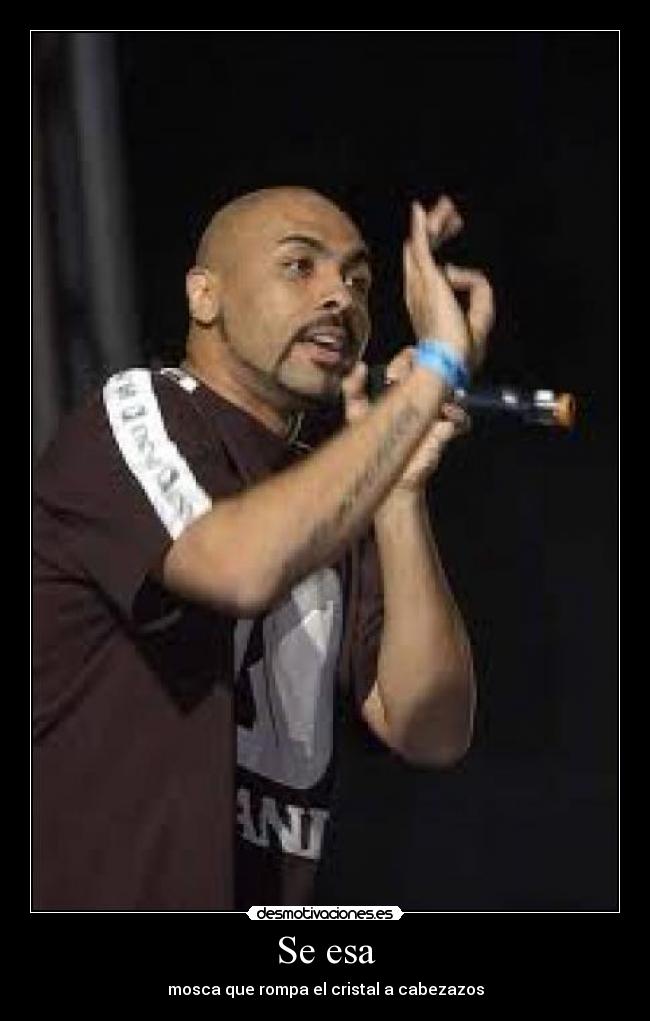 Se esa - mosca que rompa el cristal a cabezazos