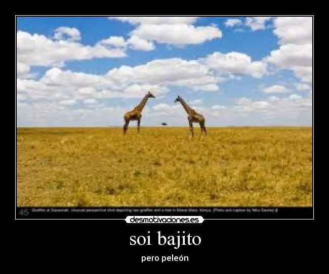 carteles msiiempre desmotivaciones