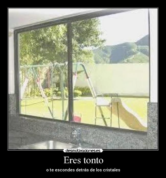 Eres tonto - o te escondes detrás de los cristales