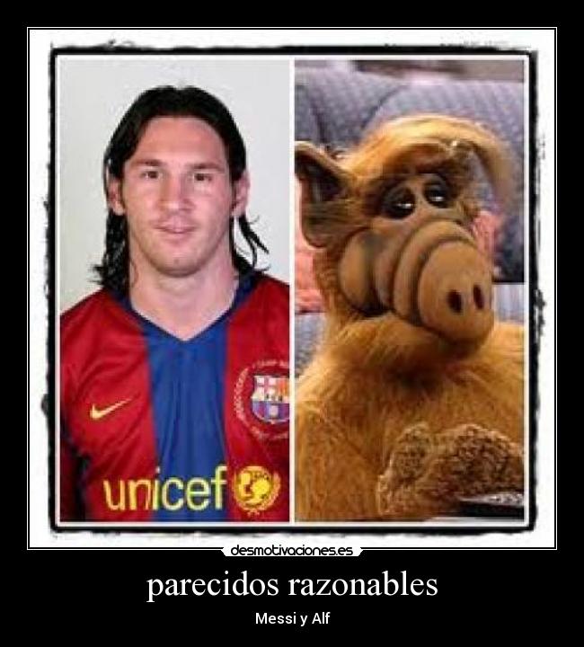 parecidos razonables - 