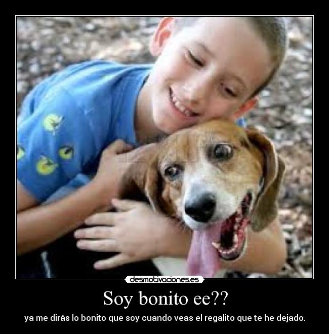 Soy bonito ee?? - ya me dirás lo bonito que soy cuando veas el regalito que te he dejado.