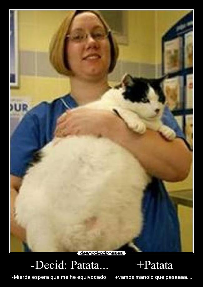 -Decid: Patata... +Patata -