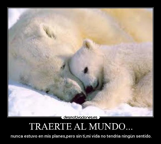 TRAERTE AL MUNDO... -  nunca estuvo en mis planes,pero sin ti,mi vida no tendrìa ningùn sentido.