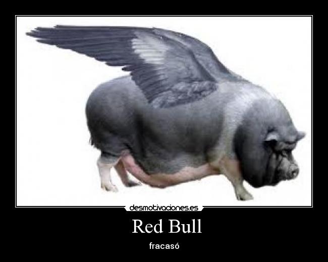  Red Bull - 