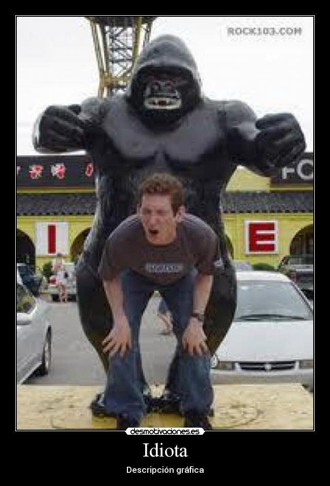 Idiota - Descripción gráfica
